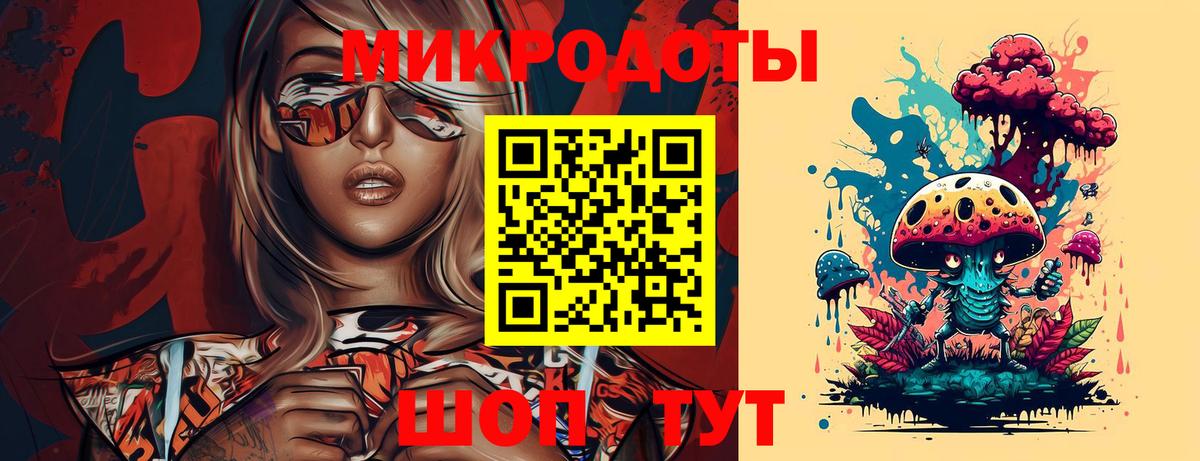 Галлюциногенные грибы Psilocybe Елабуга